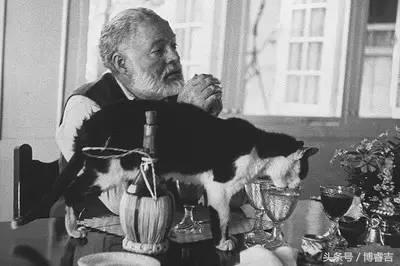 西班牙酒吧攻略 (西班牙瓦伦西亚华人酒吧)