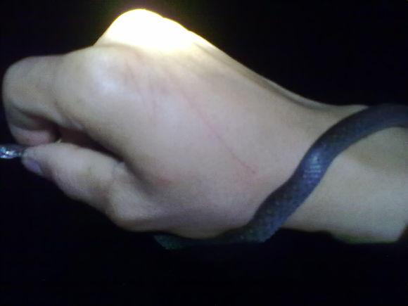 在农村钓鱼用什么虫子,农村钓鱼用什么饵料最好