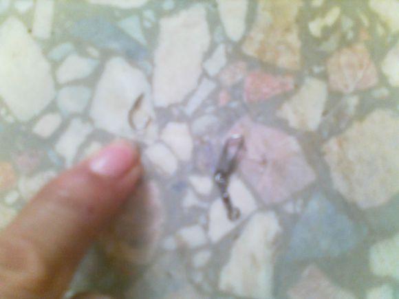 在农村钓鱼用什么虫子,农村钓鱼用什么饵料最好