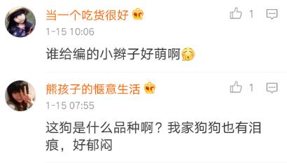 陈赫晒女儿给狗狗喂食,陈赫晒萌宠照片狗狗名字太霸气