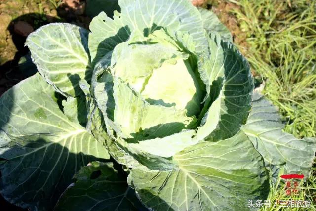 株洲小众避暑旅游攻略,株洲暑假旅游推荐