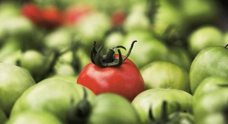 食品添加剂你了解多少？原图对比教你如何辨别有害食品！