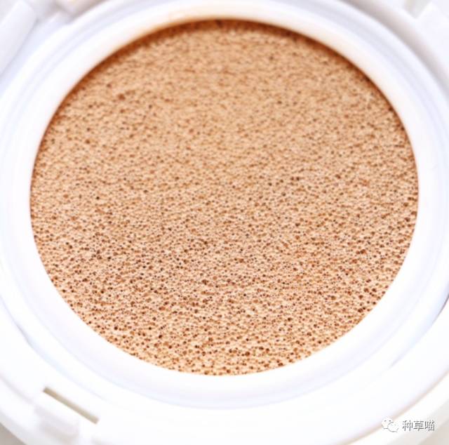 5款气垫BB大比拼！用对了气垫你就美上天