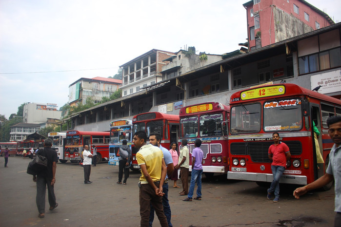 斯里兰卡旅游7天多少钱,去斯里兰卡最便宜方法