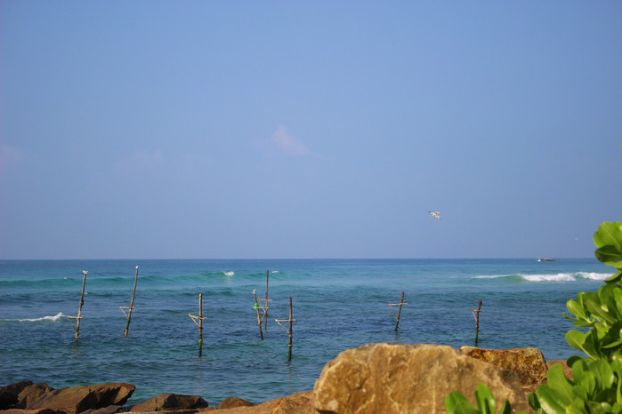 斯里兰卡旅游7天多少钱,去斯里兰卡最便宜方法