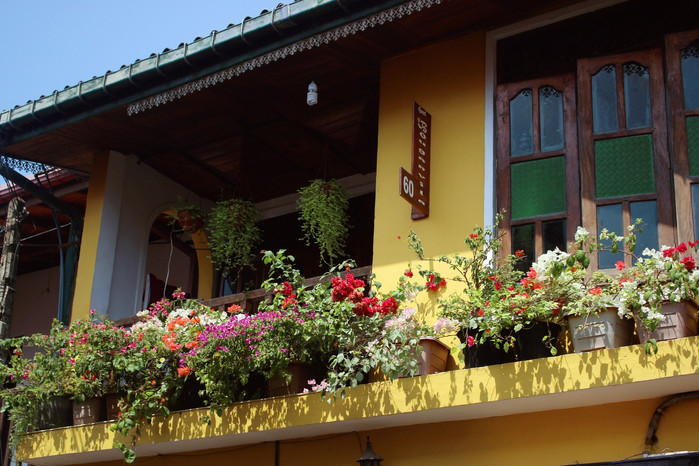 斯里兰卡旅游7天多少钱,去斯里兰卡最便宜方法