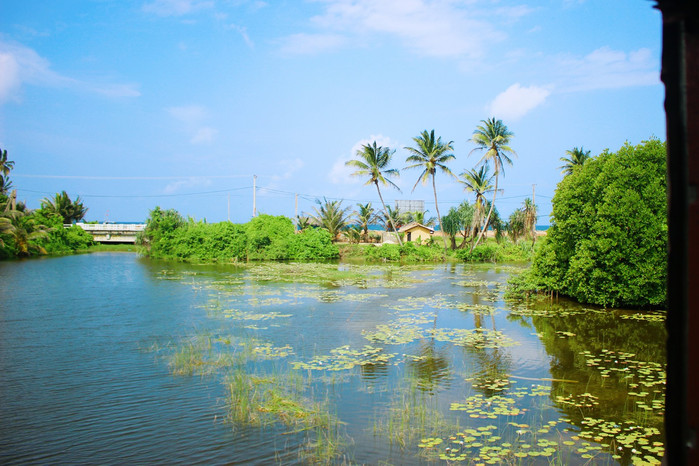斯里兰卡旅游7天多少钱,去斯里兰卡最便宜方法