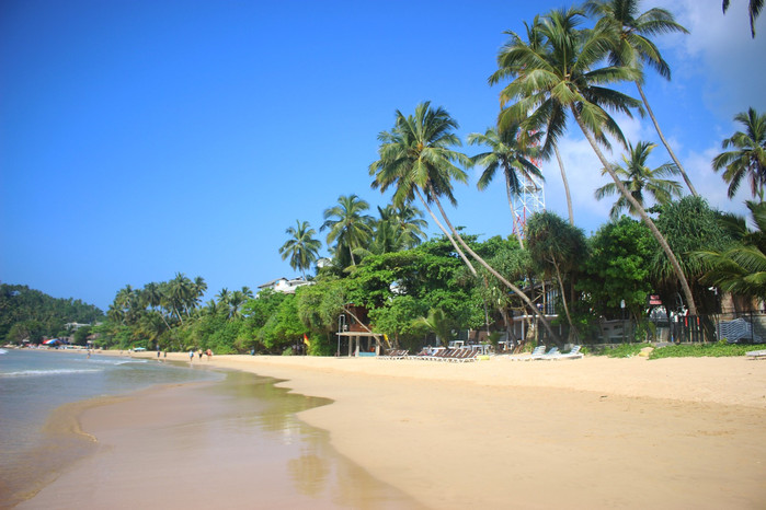 斯里兰卡旅游7天多少钱,去斯里兰卡最便宜方法