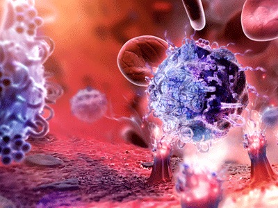 “周立波*品毒**风云”揭秘——快克*卡因可**（古柯碱）