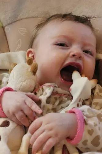 最流行小黄鸭玩具,小黄鸭玩具里面很多细菌