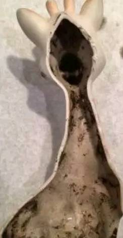 最流行小黄鸭玩具,小黄鸭玩具里面很多细菌