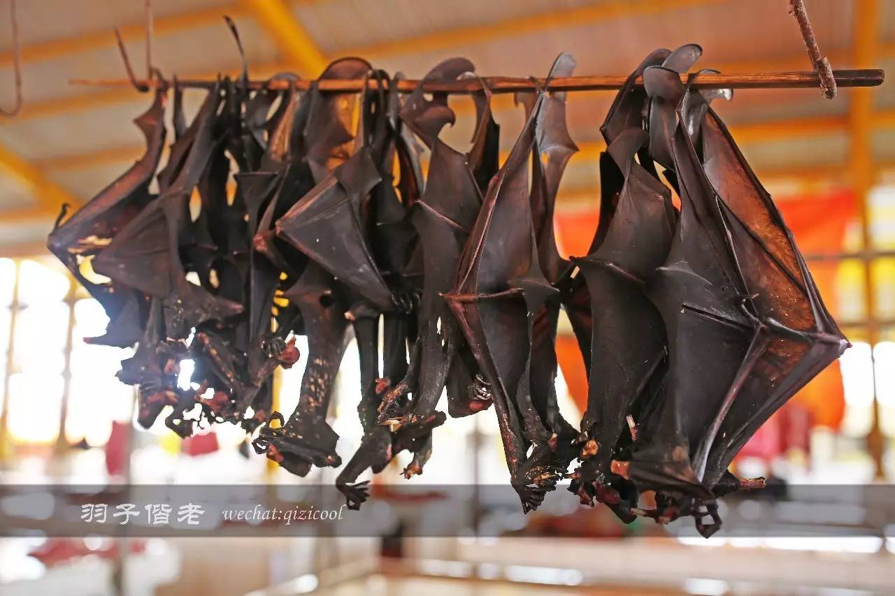 印尼美娜多旅游,印尼美娜多跟团游