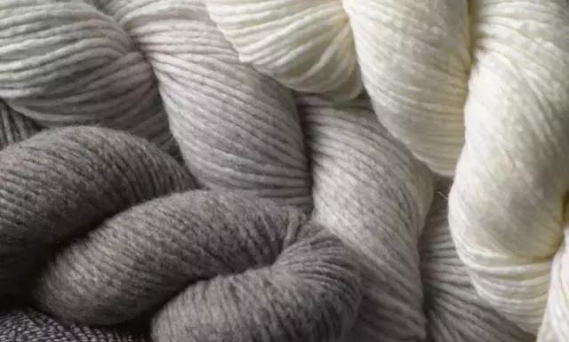 新西兰美利奴皮毛一体好不好,新西兰进口美利奴细羊毛