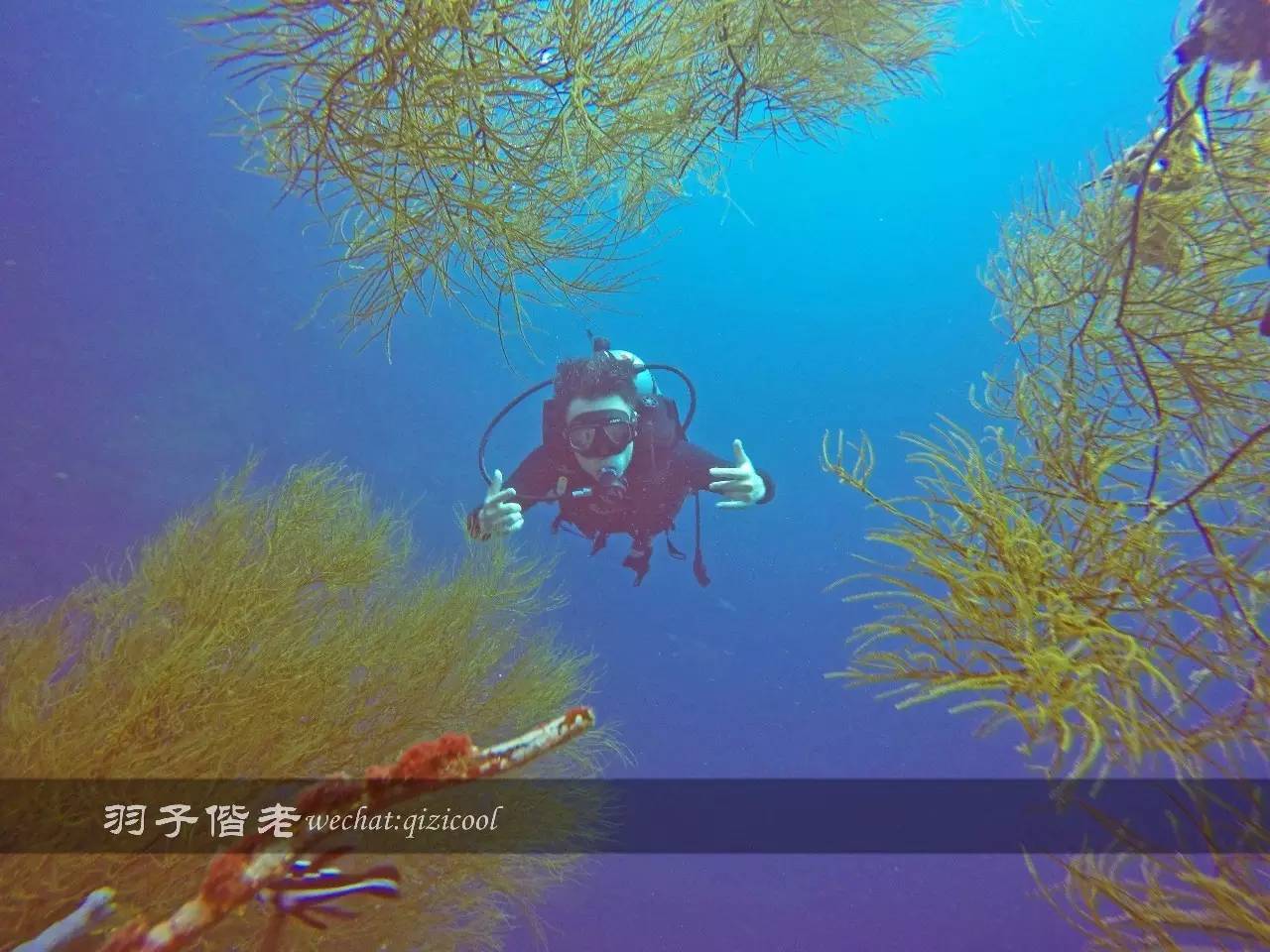 印尼美娜多旅游潜水攻略,印尼美娜多潜水圣地