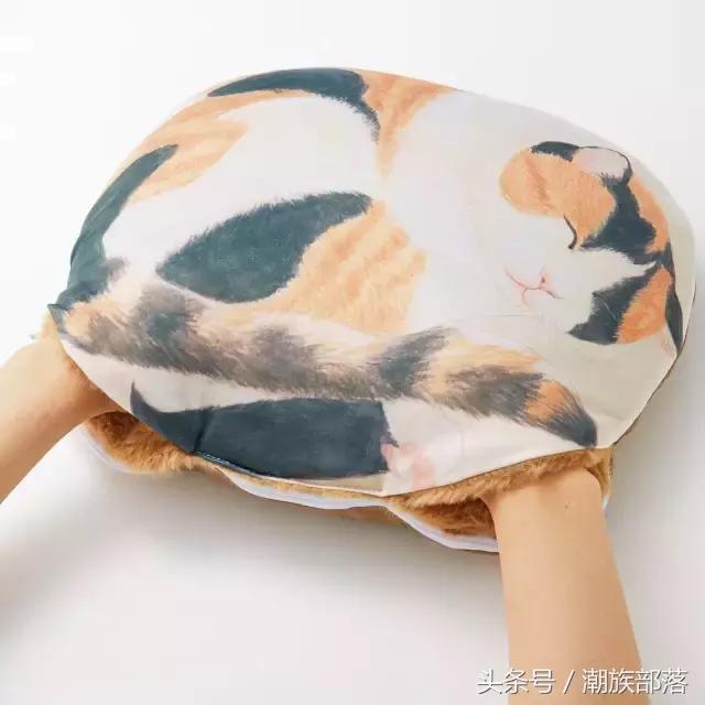 猫控保健,猫控送什么礼物
