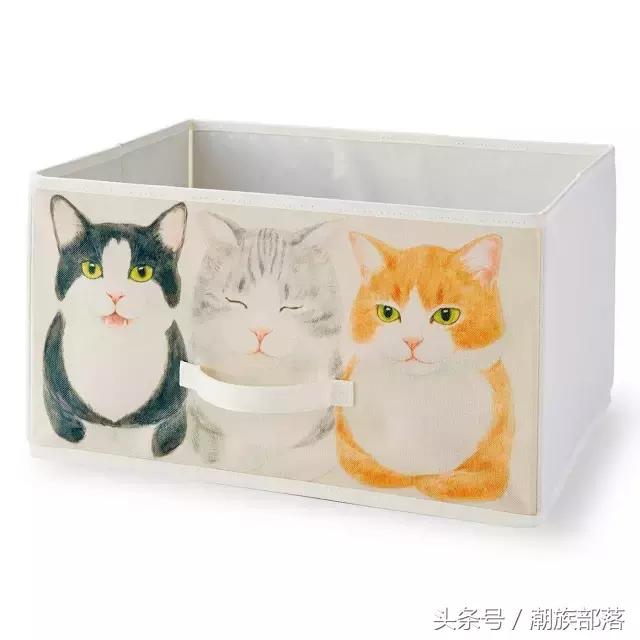 猫控保健,猫控送什么礼物
