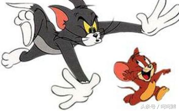 那些你不知道的超冷知识,那些你不知道的冷知识合集