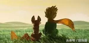 热词和热门分析收集,热词总结大全