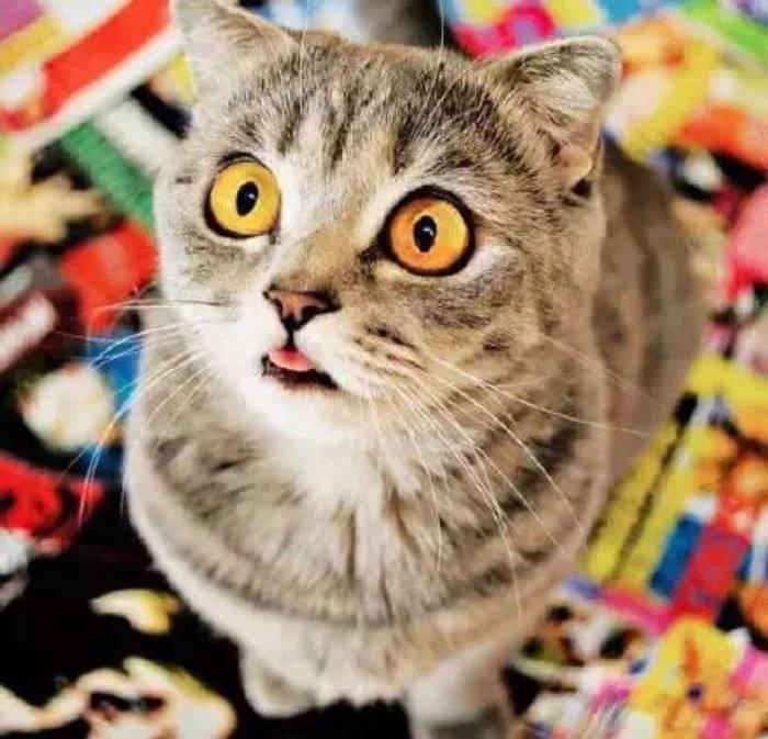 女明星冻龄保养方法,母亲该如何保养自己拥有冻龄颜值