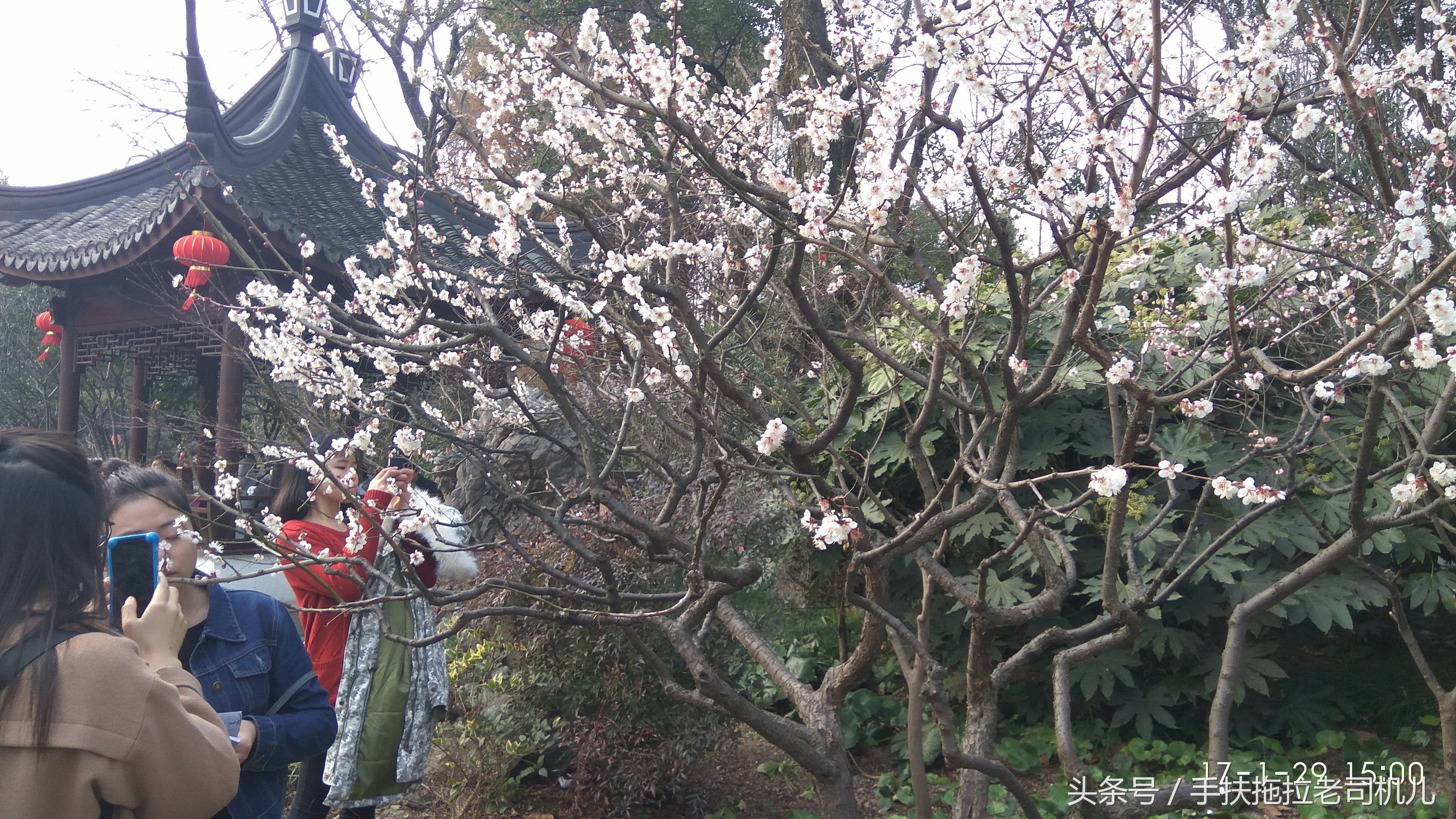 松江醉白池旅游攻略,松江醉白池免费时段