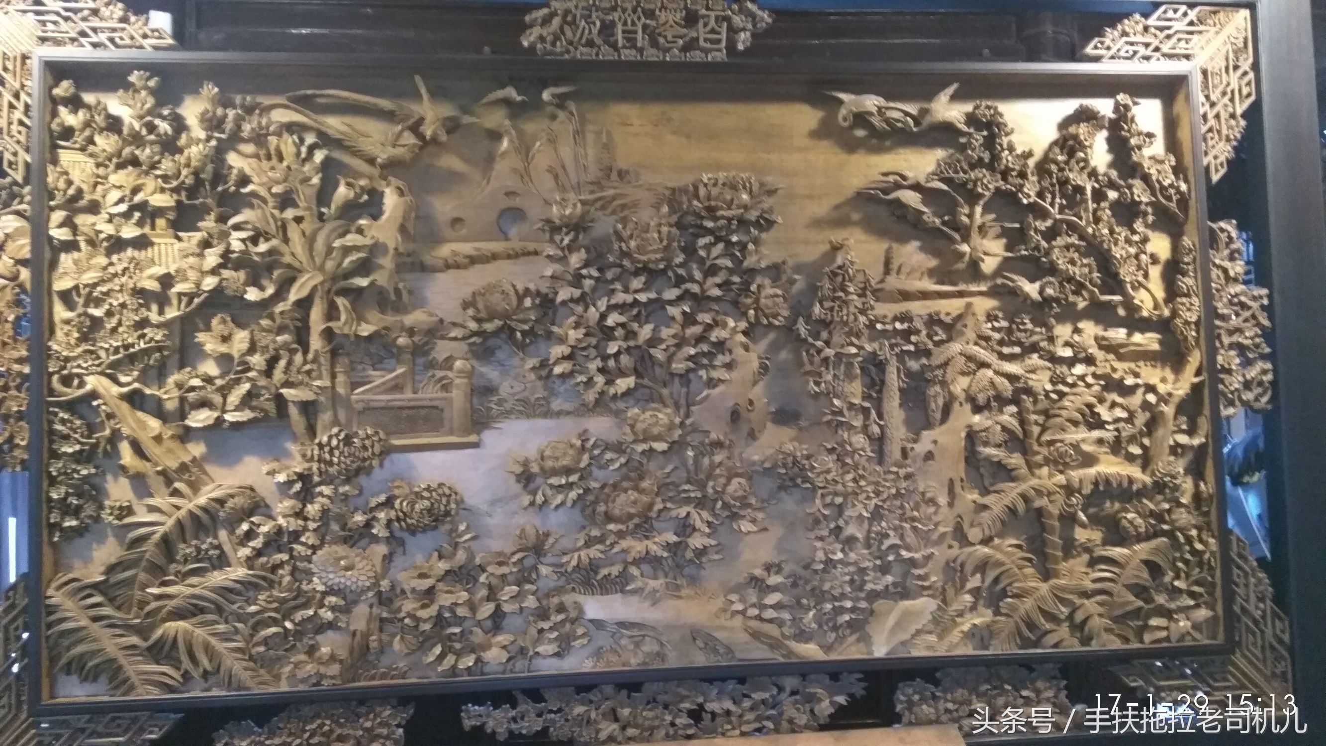 松江醉白池旅游攻略,松江醉白池免费时段