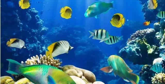 过年上海周边旅游最值得去的地方,上海假期周边旅游攻略大全