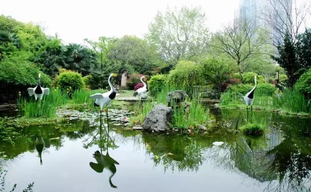 过年上海周边旅游最值得去的地方,上海假期周边旅游攻略大全