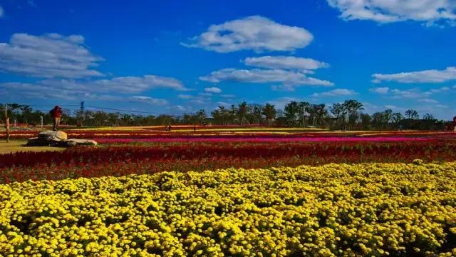 过年上海周边旅游最值得去的地方,上海假期周边旅游攻略大全