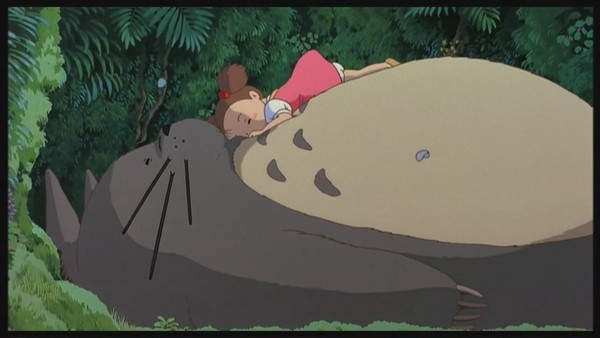 龙猫饲养技术书籍,龙猫饲养空间布置