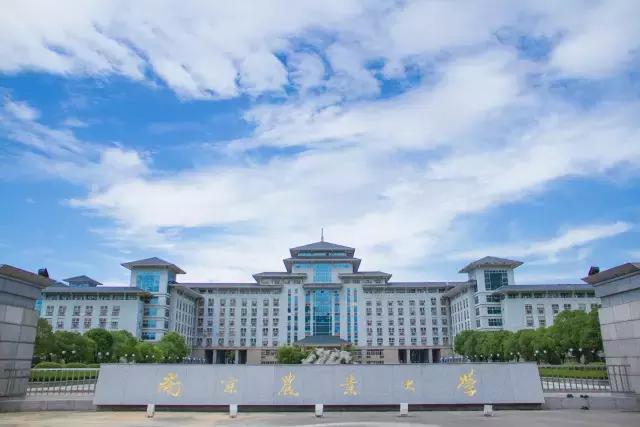 金陵十三校齐贺新春,请您查收一份来自南大的新春祝福