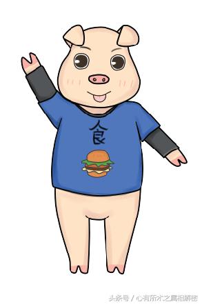 数字与生肖五行的关系,五行与生肖怎么搭配讲解