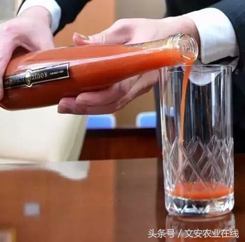 一颗番茄1000块,一颗番茄多少钱