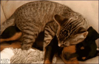 当你交往了一个非常调皮的女朋友，生活将会变成这样