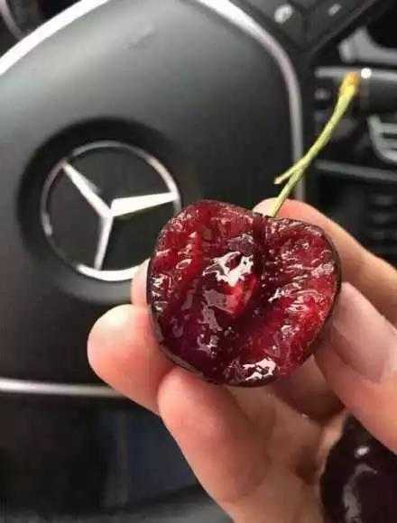 过年回家装x指南,如何低调装x