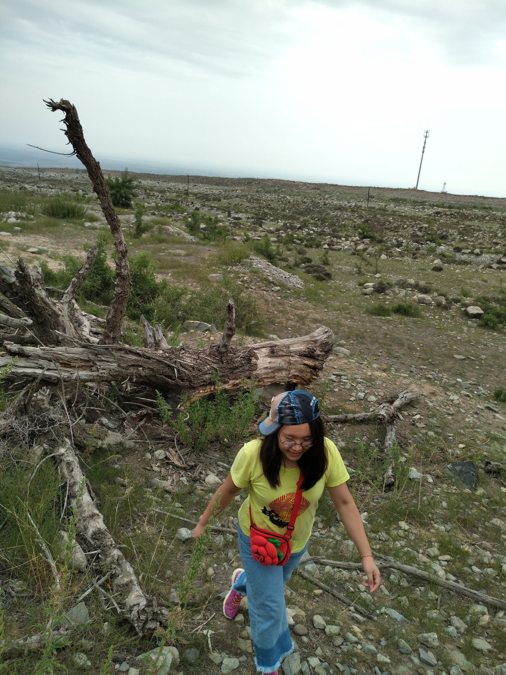 宁夏到陕西的沿途旅游,从宁夏自驾游到重庆多长时间