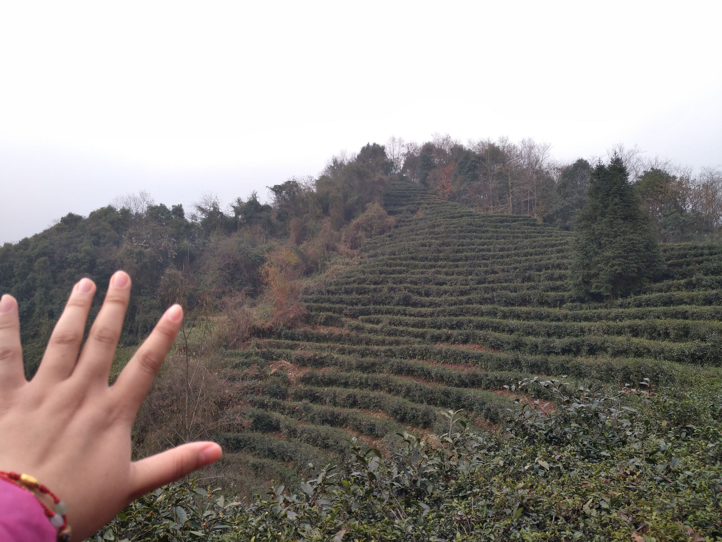 宁夏到陕西的沿途旅游,从宁夏自驾游到重庆多长时间