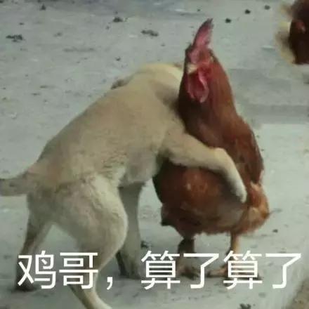 各大牌鸡年限定,外国人对鸡看法