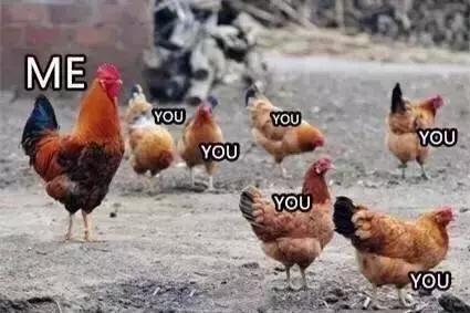 各大牌鸡年限定,外国人对鸡看法