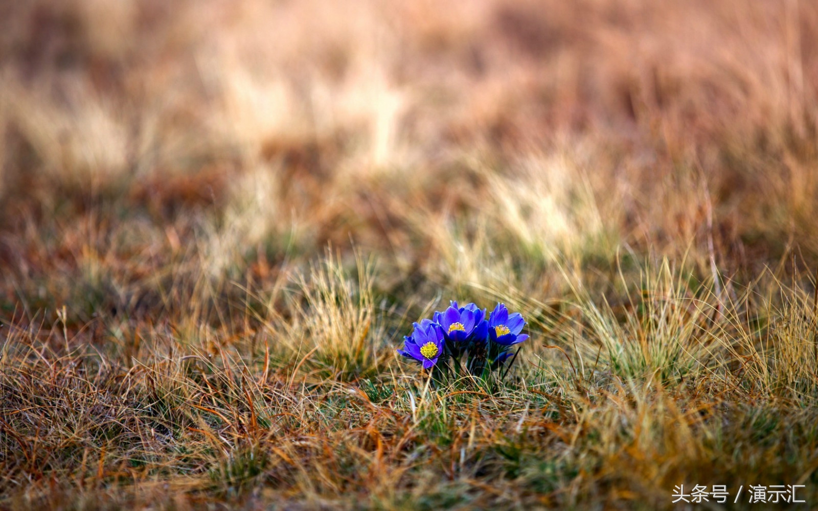 简单易懂的图片处理,图片处理100个技巧