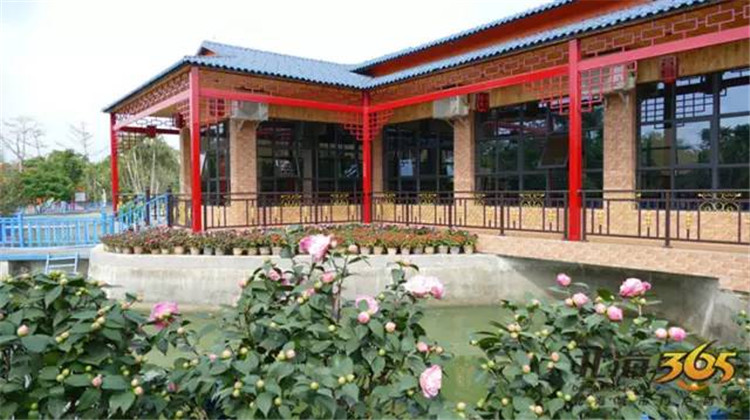 元旦北海好玩的地方,春节去北海还是去西双版纳好玩