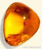 为什么有千年琥珀万年蜜蜡的说法,你被骗了多久搞笑版