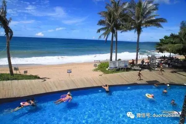 春节花市的鲜花,春节能看花的植物