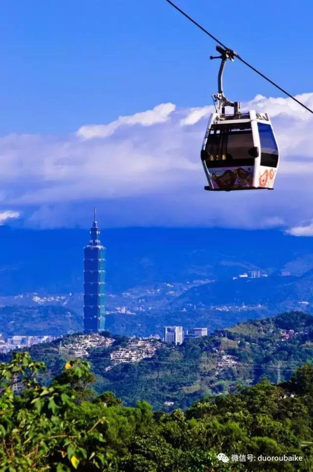 春节花市的鲜花,春节能看花的植物