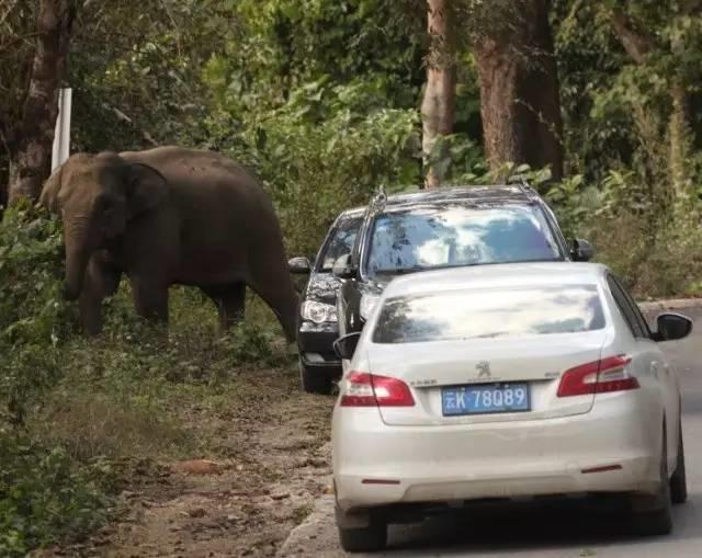 干货分享必读,干货探索与分享