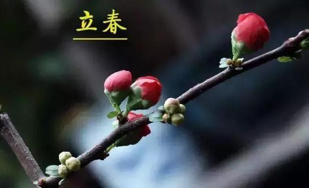 春天的约会——写给媒体人和企业主的情书