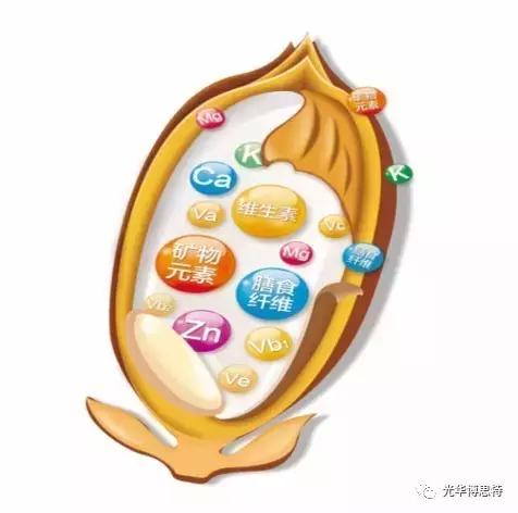 从杂粮面到全谷物粉,看禾富多的品牌价值逆袭之路