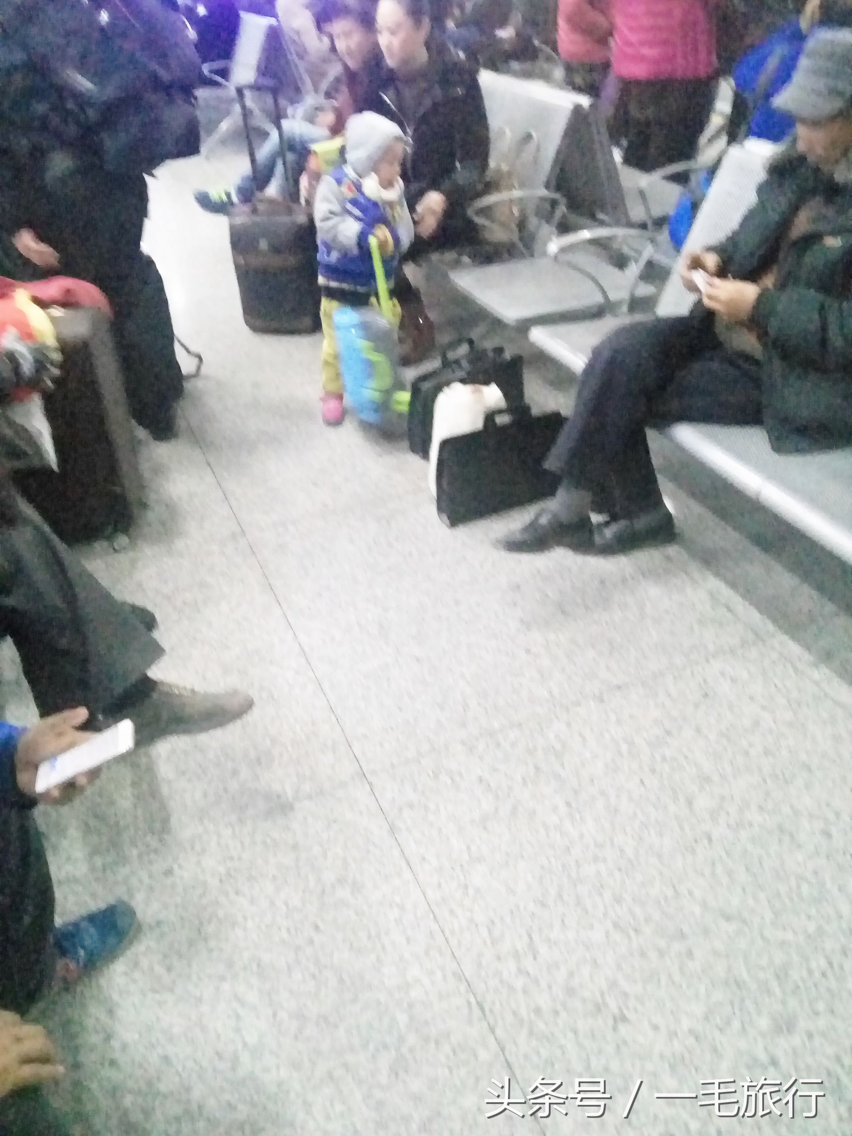 一毛旅行直播间,一毛旅行的原声