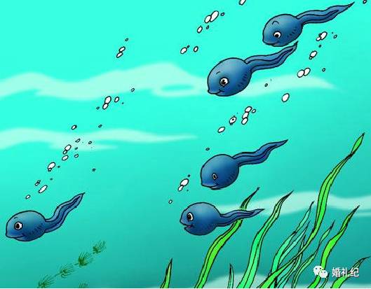 领证婚检一切OK，婚后发现老公不育！80%新人婚检没检对