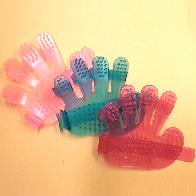 除了吃狗粮还吃什么,除了吃狗粮狗狗吃什么营养更均衡