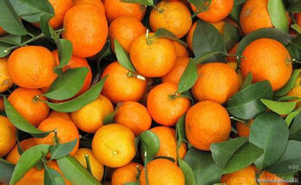 扫年货的时候到了！买点清远特产回家送礼吧！